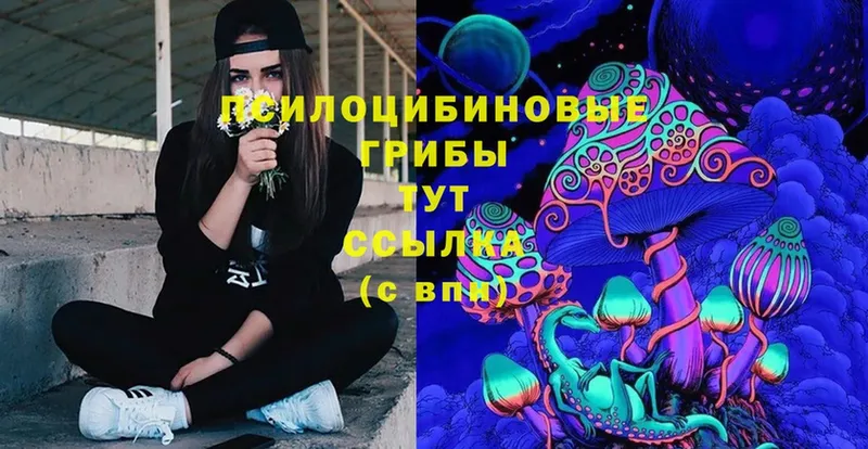 Псилоцибиновые грибы Psilocybine cubensis  ссылка на мегу ТОР  дарк нет формула  где можно купить   Орск 